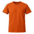 Burnt Orange Premium Cotton T-Shirt | Flinttsdrown